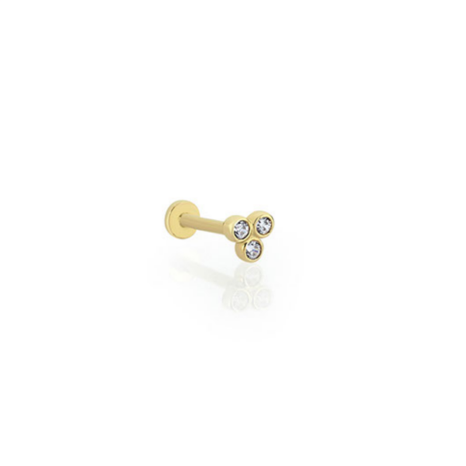 Tragus Küpe